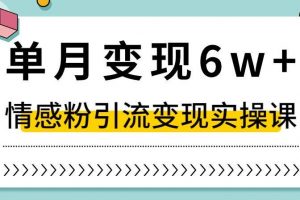 单月变现6W+，抖音情感粉引流变现实操课，小白可做，轻松上手，独家赛道【揭秘】