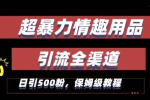 最新情趣项目引流全渠道，自带高流量，保姆级教程，轻松破百单，日引500+粉【揭秘】