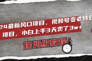 2024最新风口项目，视频号变老特效项目，电脑小白上手3天卖了3w+，保姆级教程【揭秘】