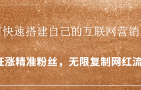 互联网金融营销~（数字金融推广）插图