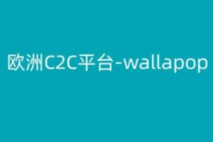 旅游网络营销~（数字化旅游营销策略）