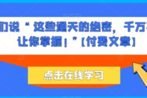 网红 网络营销~（社交媒体影响力）