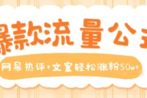 网络营销的含义~（数字营销的定义）