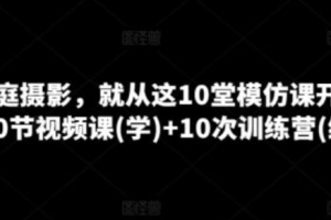 按照商业活动的运作方式网络营销可以分为~（网络营销的运作方式）