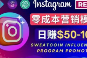 安踏网络营销~（网络营销策略）