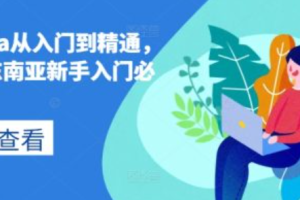 公司外贸网络营销~（国际贸易网络推广）