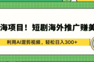 海外网络营销~（跨境电商营销策略）