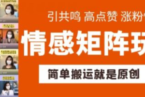 网络市场营销~（数字营销策略）