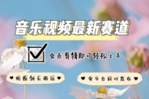 大数据网络营销~（数字营销策略）