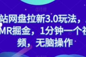 网络广告的主要形式~（数字营销策略）