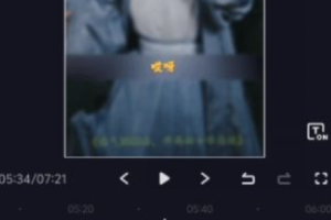 网络营销活动方案~（在线推广方案）