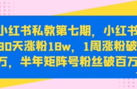 网络营销平台~（数字化营销平台）插图