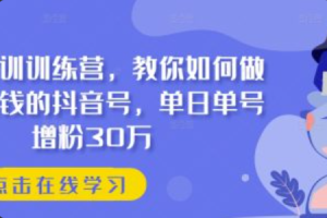 阿里巴巴网络营销~（网络营销策略）