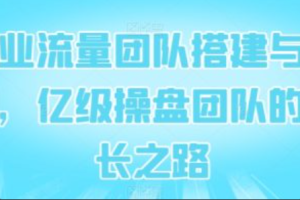 网络销售怎么样~（如何进行网络销售）
