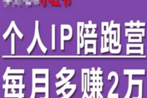 打造个人ip的案例分析~（个人品牌塑造成功范例）