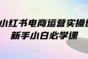 新手小红书运营~（小红书营销技巧分享）