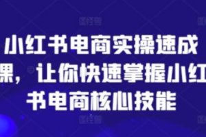 小红书电商ppt~（小红书电商商业模式分析）