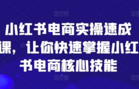 小红书电商ppt~（小红书电商商业模式分析）插图