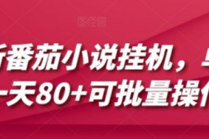 番茄小说介绍视频~（番茄小说使用指南视频）