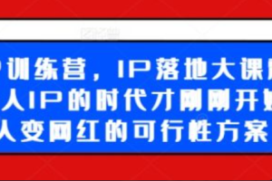 ip商业化策略路径~（网络知识产权商业化方案）