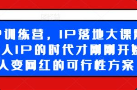 ip商业化策略路径~（网络知识产权商业化方案）插图