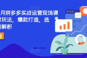 拼多多日销千单怎么做的~（拼多多提升销量的技巧）