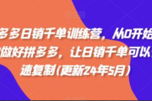 拼多多日销是什么意思~（拼多多日销的具体含义）