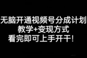 频视号 收入~（视频号 变现方式）