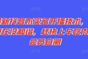 无限半实名~（无限制半身份系统）