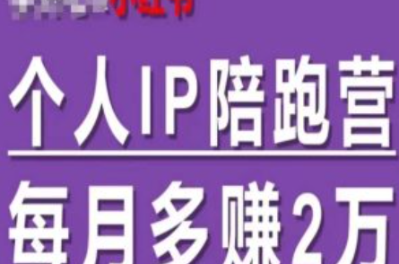 如何理解个人ip变现~（个人IP价值提升技巧）插图