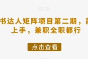 小红书达人赚钱吗~（小红书赚钱攻略与经验分享）