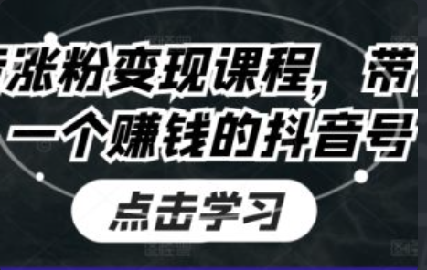 抖音技术涨粉服务合同模板~（抖音涨粉服务协议样本）插图