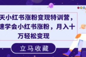 小红书培训班~（小红书运营技巧课程）