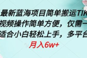 最新蓝海项目~（创新创业机会探索）