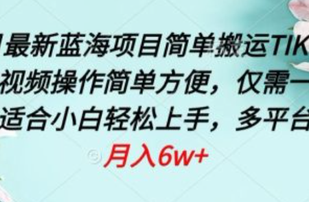 最新蓝海项目~（创新创业机会探索）插图