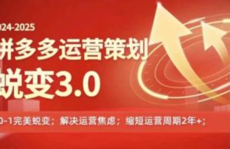 拼多多运营说日销100单抽3%~（拼多多日销策略与利润分享）插图