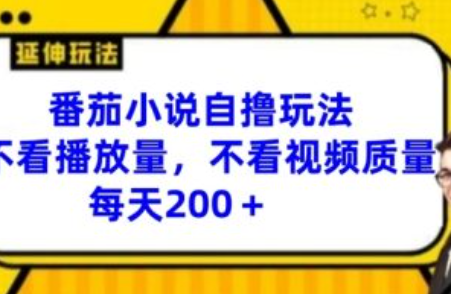 番茄小说赚钱规则~（番茄小说创作收益策略）插图