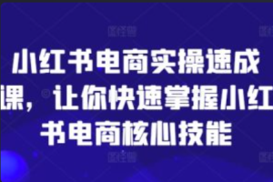 小红书内容电商~（小红书营销策略与实践）