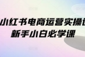 小红书运营课程~（小红书营销技巧培训）