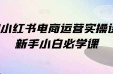 小红书运营课程~（小红书营销技巧培训）插图