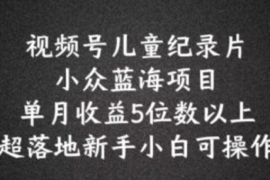 2020年蓝海项目~（蓝海战略实施案例分析）