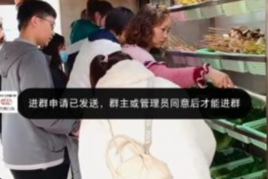 小红书版本ppt项目介绍~（小红书项目展示技巧）