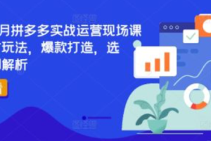 拼多多旺季运营指南,~（拼多多销售策略攻略）