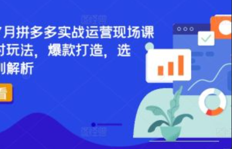 拼多多旺季运营指南,~（拼多多销售策略攻略）插图