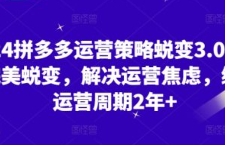 拼多多运营活动~（拼多多营销活动策略）插图