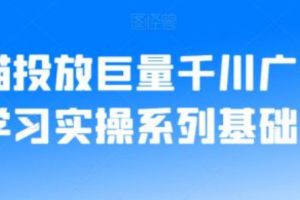 千川广告投放平台~（数字营销投放解决方案）
