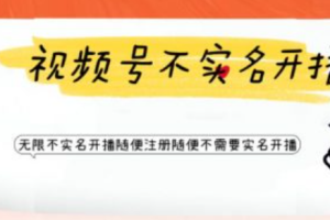 实名验证破解器~（身份认证绕过工具）