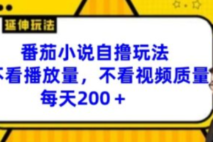 番茄小说的小说~（阅读番茄小说的乐趣）