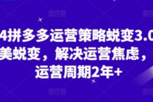 拼多多如何日销千单~（拼多多提升销售技巧攻略）