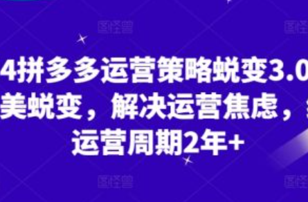拼多多如何日销千单~（拼多多提升销售技巧攻略）插图